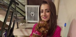 Trisha Krishnan Receives Second Bomb Threat in 6 Months — Chennai Police Launch Probe