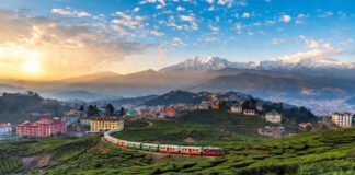 Darjeeling tour packages featuring tea gardens, toy train, Tiger Hill sunrise and scenic Himalayan mountain views