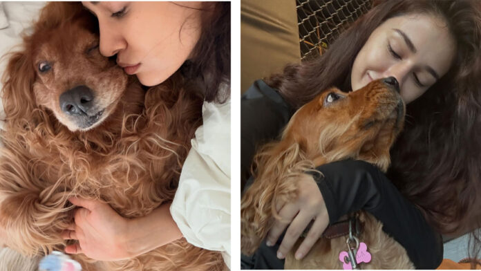 disha-patani-pets-death-bel Disha Patani shared heartbreaking posts mourning the loss of her dog Bella and cat Jasmine, calling them her “first babies.”
