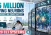 AI With Living Human Brain Cells? Singapore Switches On 20 Biocomputers Powered by 16 Million Neurons