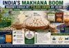 India’s Makhana Boom: Fox Nut Market Could Reach ₹12,000 Crore by 2030 as Demand, Prices and Exports Surge