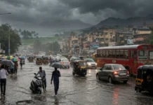 Weather Today: IMD Warns of Heavy Rain Across India; Rajasthan, Odisha and Karnataka on Alert After Delhi Deluge