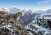 Ladakh to Launch India’s First High-Altitude Wildlife Safari Featuring Snow Leopard and Bird-Watching Trails A snow leopard in the mountains of Ladakh as India prepares to launch its first guided high-altitude wildlife safari.