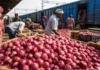 Onion Prices Surge Nearly 50%: ‘Kanda Express’ Starts Today—Will Pyaz Become Cheaper Before Festivals?