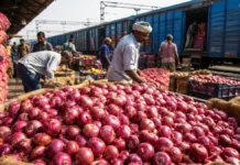 Onion Prices Surge Nearly 50%: ‘Kanda Express’ Starts Today—Will Pyaz Become Cheaper Before Festivals?