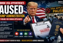 US Visa Appointments Paused Worldwide: What Indian Students, Workers and Travelers Need to Know