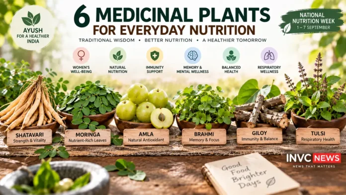 6-medicinal-plants-nutrition-ayush-shatavari-moringa-amla