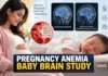 Anemia During Pregnancy Linked to 4% Smaller Brain Volume in Babies, New Study Finds