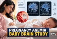Anemia During Pregnancy Linked to 4% Smaller Brain Volume in Babies, New Study Finds