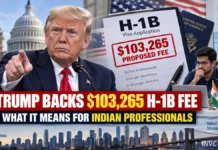 Trump H-1B Visa Fee: President Backs $103,265 Proposal, Indian Professionals and US Tech Firms Face New Uncertainty