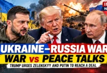 Ukraine-Russia War: Deadly Strikes Continue as Trump Urges Zelenskyy to Pursue Deal With Putin Before Winter
