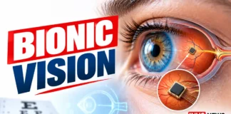 Bionic Eye: Understanding Artificial Vision