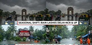 India Weather Update: Heavy rainfall is forecast in parts of southern India, while North Indian residents should check local temperature forecasts for the latest conditions.